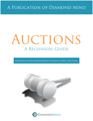 auction_beginner_guide